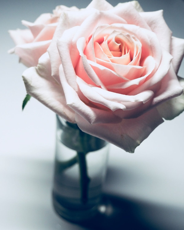 10 Valentine's Day Backgrounds And Wallpapers For 2020 - picture 11
