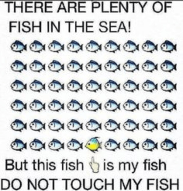 10 Valentines Day Memes For The Single People Of The World - picture 10