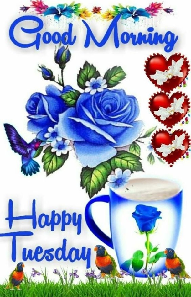 10 Very Amazing Good Morning Tuesday Images - picture 10
