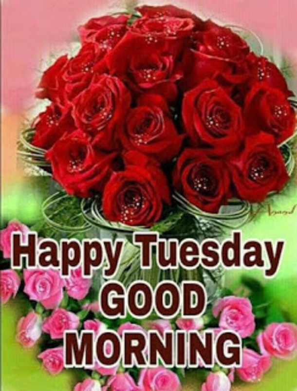 10 Very Amazing Good Morning Tuesday Images - picture 4