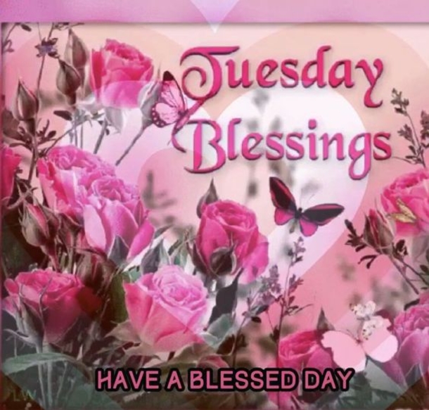 10 Very Amazing Good Morning Tuesday Images - picture 5