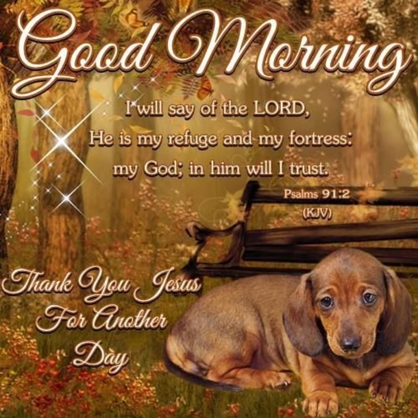 10 Very Beautiful And Touching Good Morning Love QUotes - picture 10