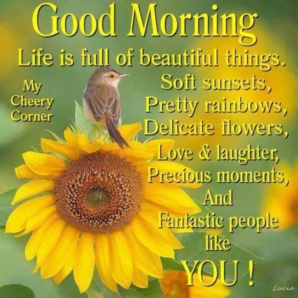10 Very Beautiful And Touching Good Morning Love QUotes - picture 2