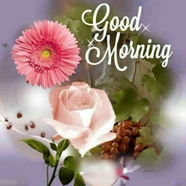 10 Very Beautiful And Touching Good Morning Love QUotes - picture 4