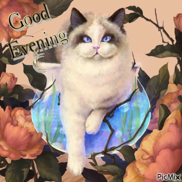 10 Very Beautiful Good Evening Quotes For The Night - picture 4