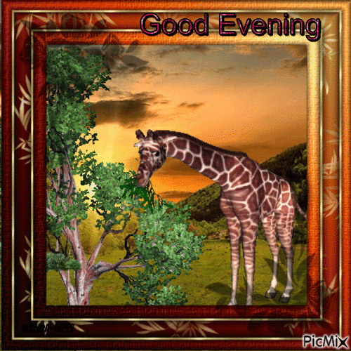 10 Very Beautiful Good Evening Quotes For The Night - picture 6