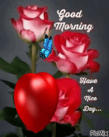 10 Very Beautiful Good Morning Gifs & Quotes - picture 3