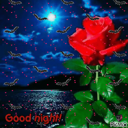 10 Very Beautiful Good Night Gifs, Greetings And Quotes - picture 4