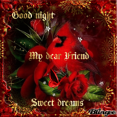 10 Very Beautiful Good Night Quotes And Sayings - picture 11