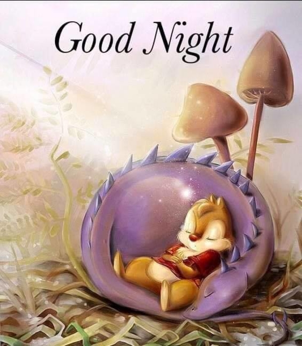 10 Very Beautiful Good Night Quotes & Images - picture 10