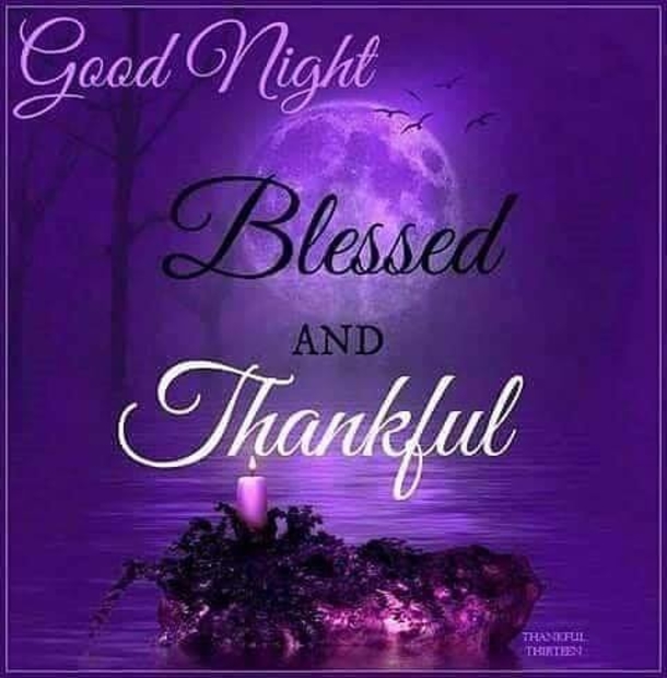 10 Very Beautiful Good Night Quotes & Images - picture 2