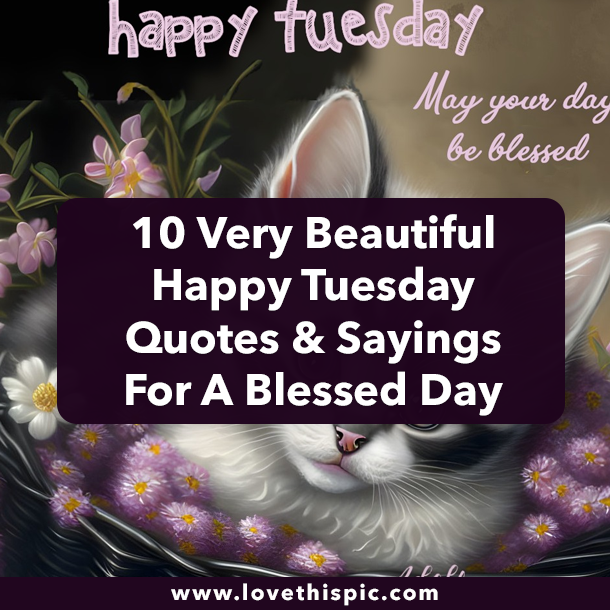 10 Very Beautiful Happy Tuesday Quotes & Sayings For A Blessed Day