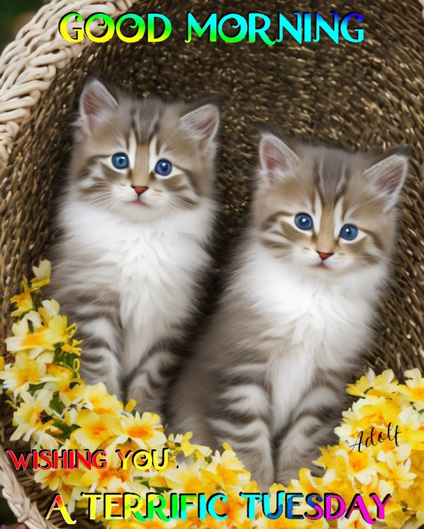 10 Very Beautiful Happy Tuesday Quotes & Sayings For A Blessed Day - picture 5
