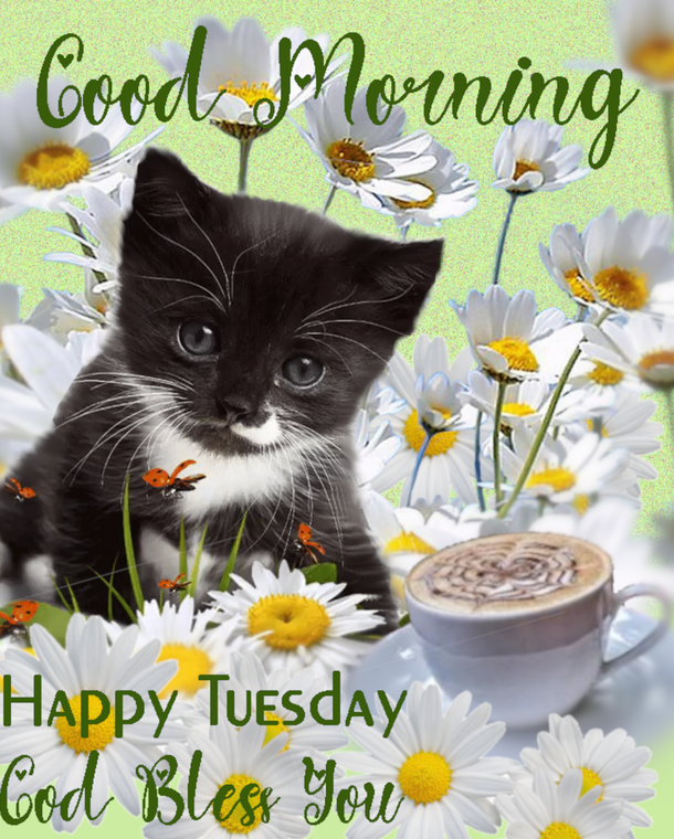 10 Very Beautiful Happy Tuesday Quotes & Sayings For A Blessed Day - picture 9