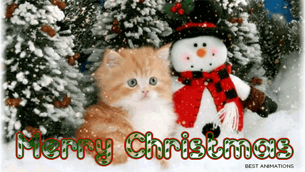 10+ Very Beautiful Merry Christmas Gifs For The Holidays - picture 11