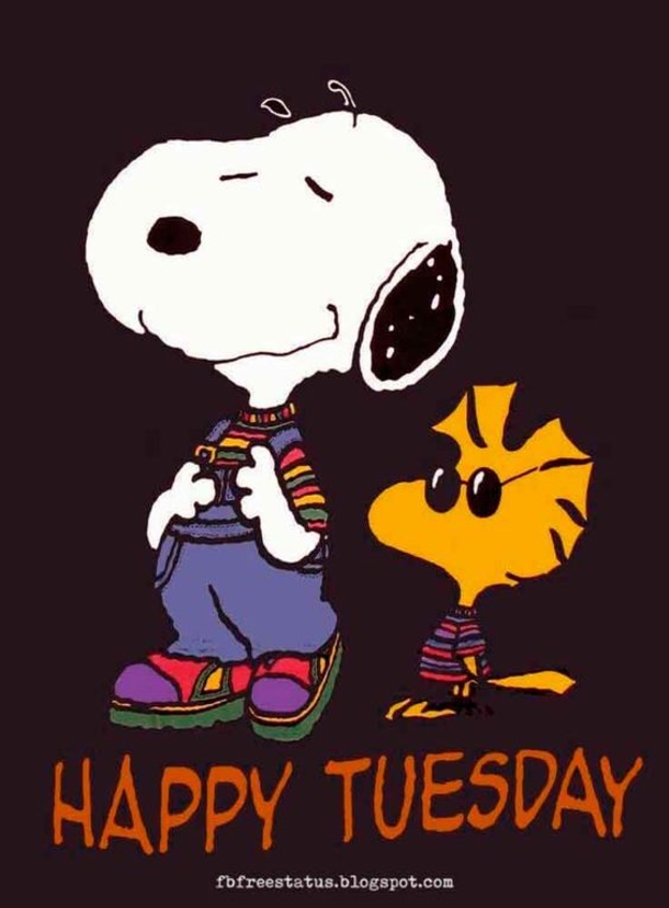 10 Very Beautiful Tuesday Images With Quotes - picture 10