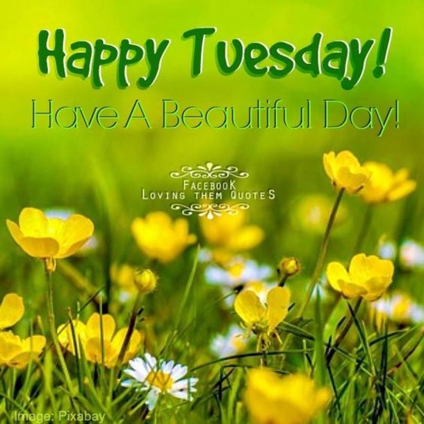 10 Very Beautiful Tuesday Images With Quotes - picture 11