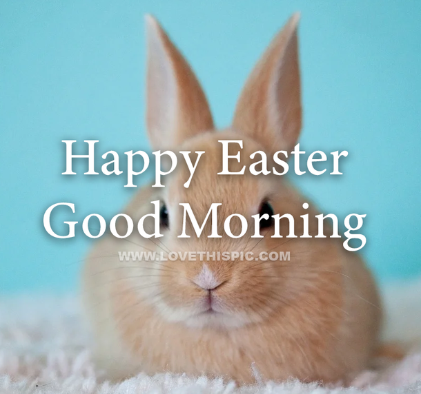 10 Very Blessed Good Morning Happy Easter Images - picture 10