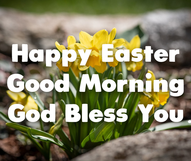 10 Very Blessed Good Morning Happy Easter Images - picture 4