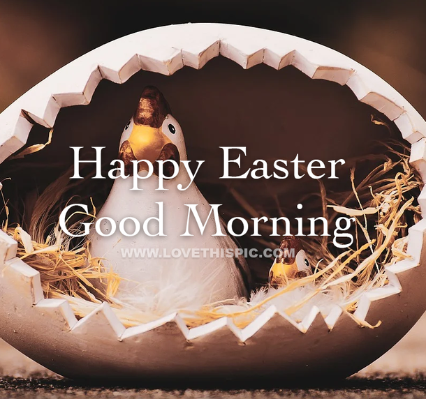10 Very Blessed Good Morning Happy Easter Images - picture 8