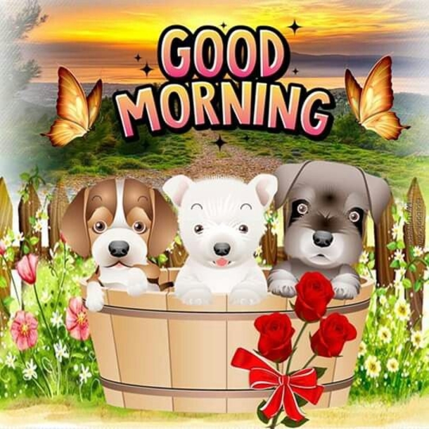 10 Very Cute Good Morning Quotes - picture 3