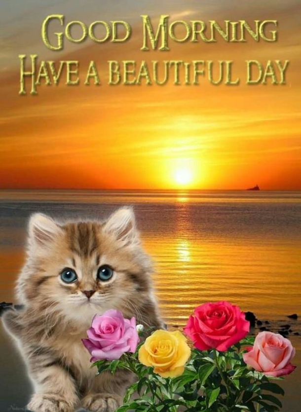 10 Very Cute Good Morning Quotes - picture 6