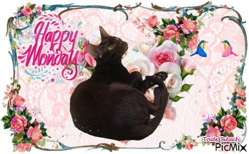 10 Very Cute Monday Gifs - picture 8