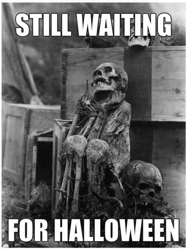 10 Very Funny Halloween Quotes - picture 4