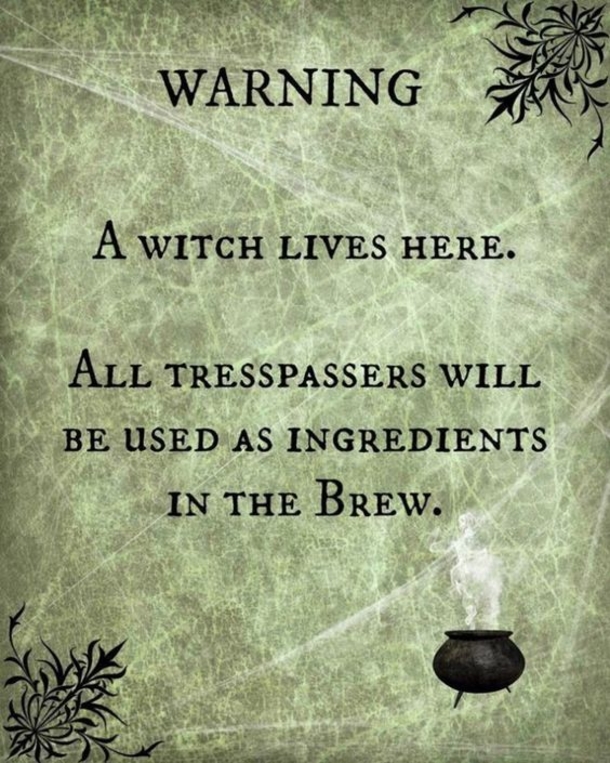 10 Very Funny Halloween Quotes - picture 5