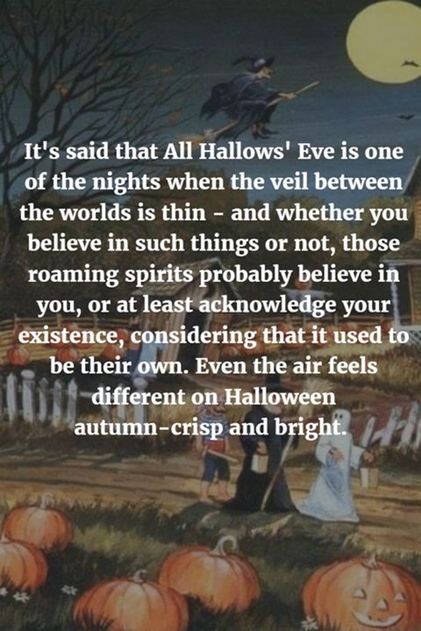 10 Very Funny Halloween Quotes - picture 6