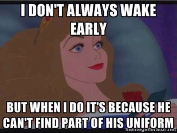 10 Very Funny Memes For Wives - picture 10
