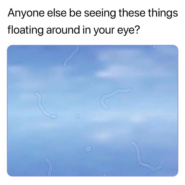 10 Very Funny Memes Of The Day That You Can't Help But Appreciate - picture 8