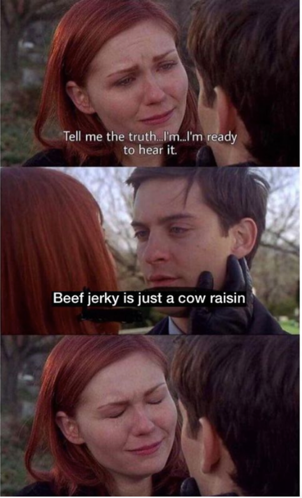 10 Very Funny Random Memes To Bless Your Timeline - picture 4