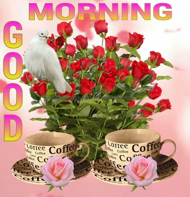 10 Very Good Morning Quotes, Sayings And Blessings To Start A New Day - picture 5