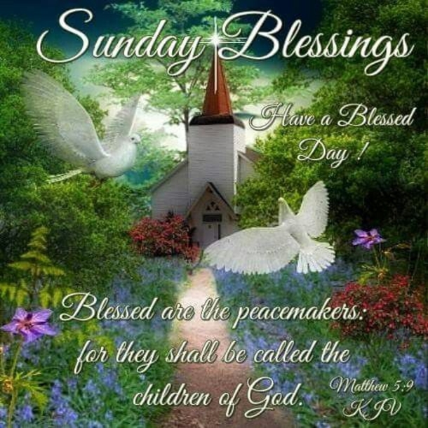 10 Very Happy Sunday Quotes And Sayings - picture 9