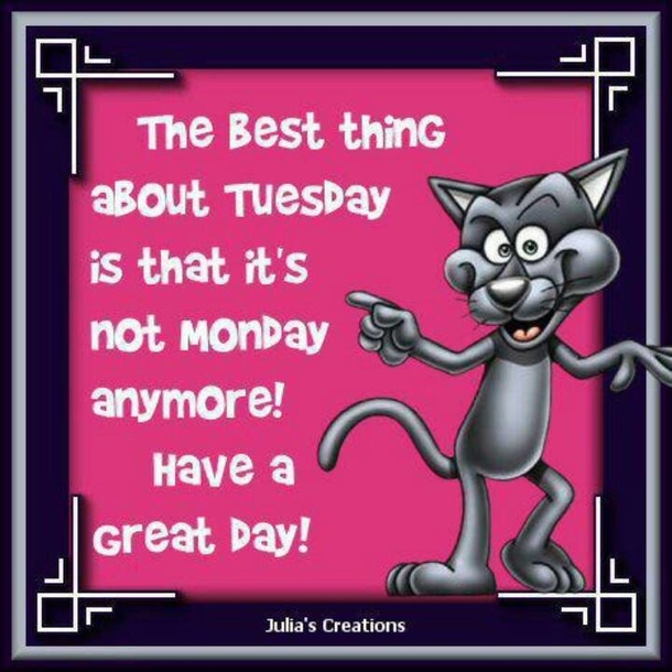 10+ Very Happy Tuesday To Make Your Day Feel Amazing - picture 10