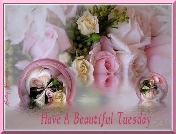 10+ Very Happy Tuesday To Make Your Day Feel Amazing - picture 4