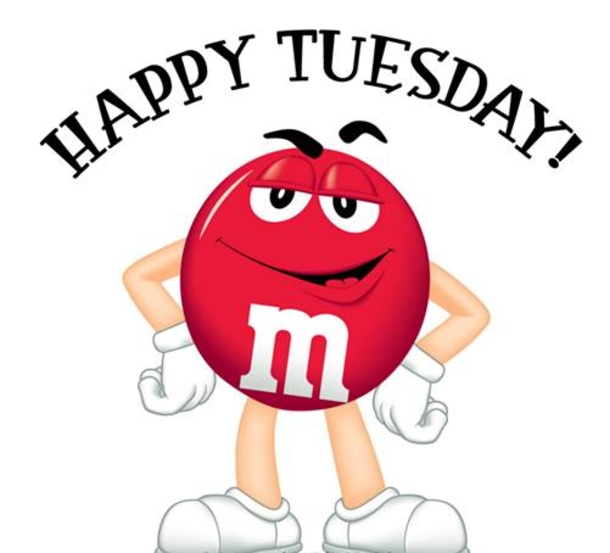 10+ Very Happy Tuesday To Make Your Day Feel Amazing - picture 5