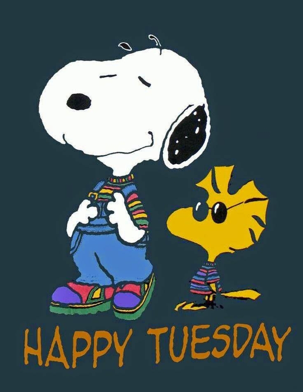 10+ Very Happy Tuesday To Make Your Day Feel Amazing - picture 6