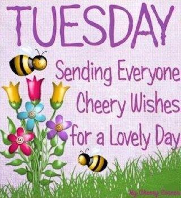 10+ Very Happy Tuesday To Make Your Day Feel Amazing - picture 7