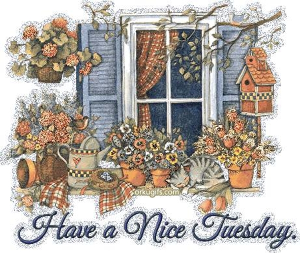 10+ Very Happy Tuesday To Make Your Day Feel Amazing - picture 9