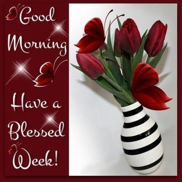 10 Very Lovely Good Morning Quotes And Sayings - picture 11