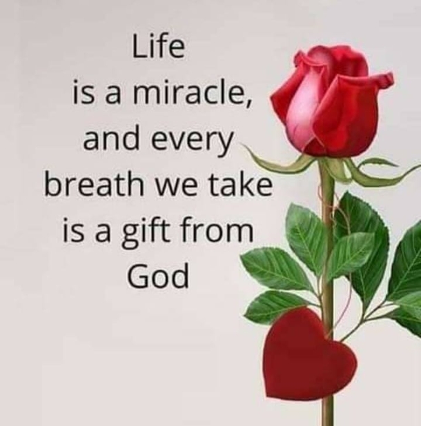 10 Very Motivating Quotes For A New Week - picture 3
