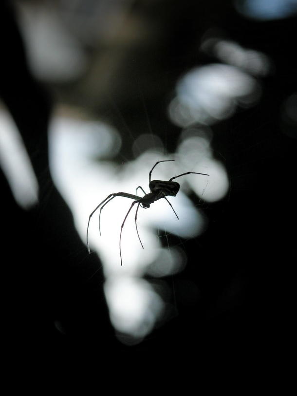 10 Very Scary Photography Images That Remind You Of Halloween - picture 8