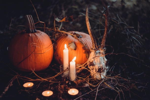 10 Very Scary Photography Images That Remind You Of Halloween - picture 9