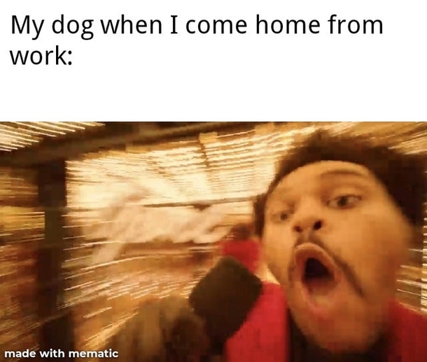 10 Very Silly Memes To Brighten Your Day - picture 10