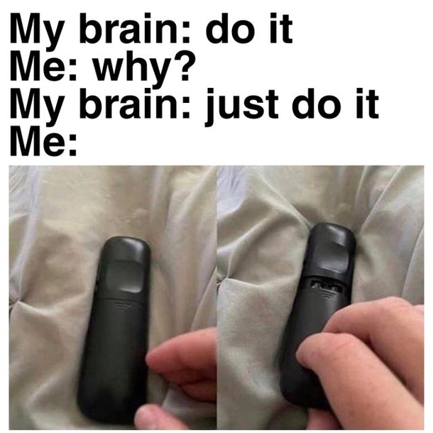 10 Very Silly Memes To Brighten Your Day - picture 7