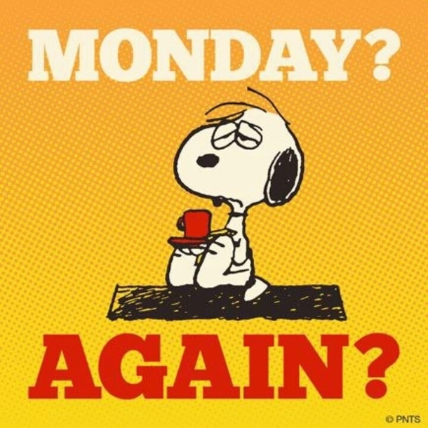 10 Very Silly & Funny Monday Quotes To Help Get You Through The Day - picture 6