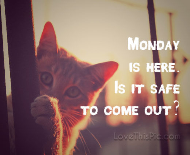 10 Very Silly & Funny Monday Quotes To Help Get You Through The Day - picture 8