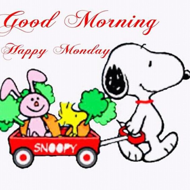 10 Very Special Good Morning Monday Quotes - picture 5